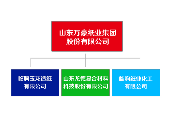 山东ayx爱游戏纸业集团.jpg